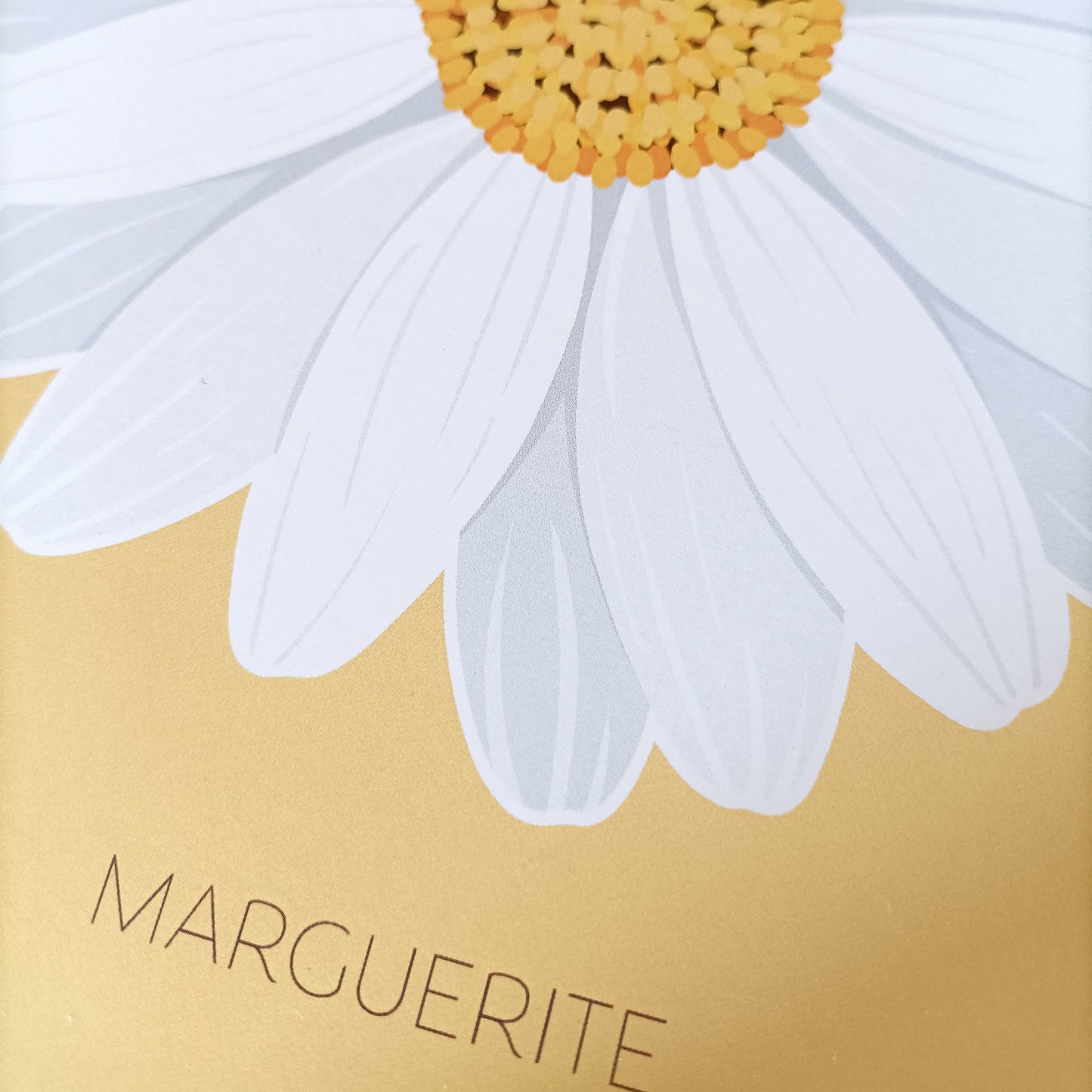 Un peu... Beaucoup... Passionnément - Marguerite