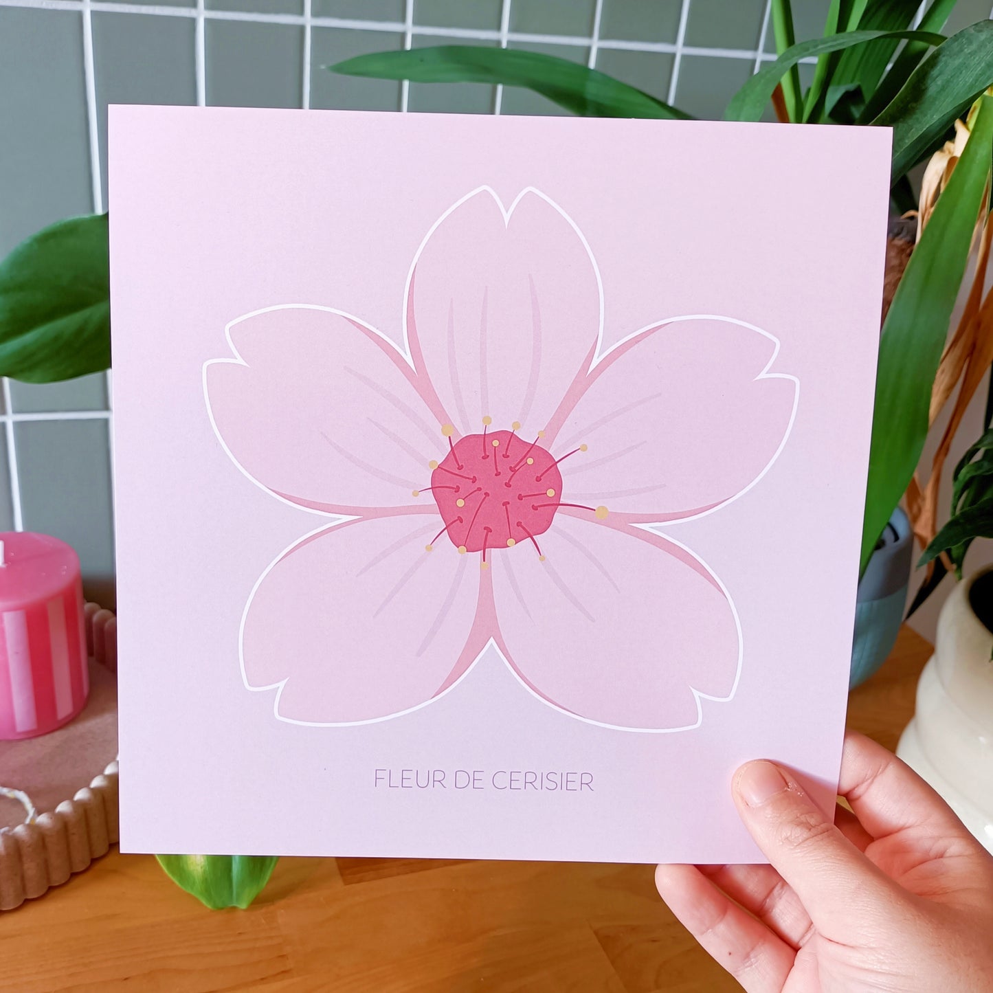 Éclosion de printemps - Fleur de cerisier