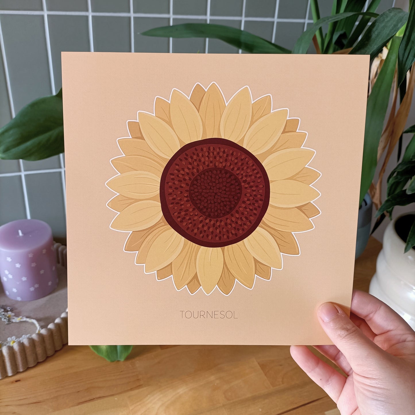 Fleur du Soleil - Tournesol