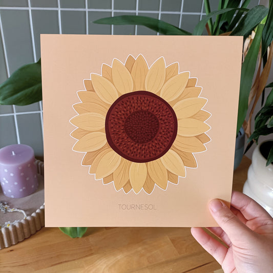 Fleur du Soleil - Tournesol