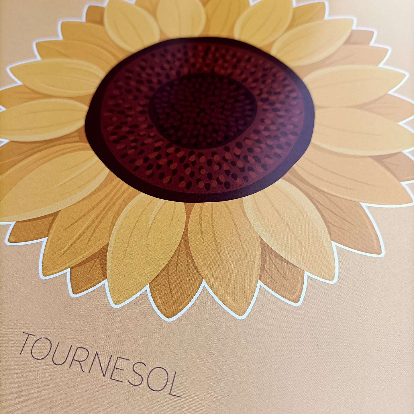 Fleur du Soleil - Tournesol