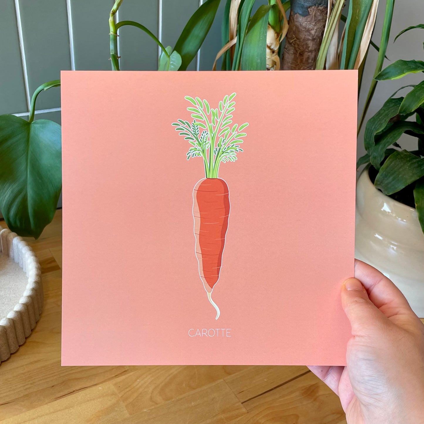 L'aimable Carotte - Carotte