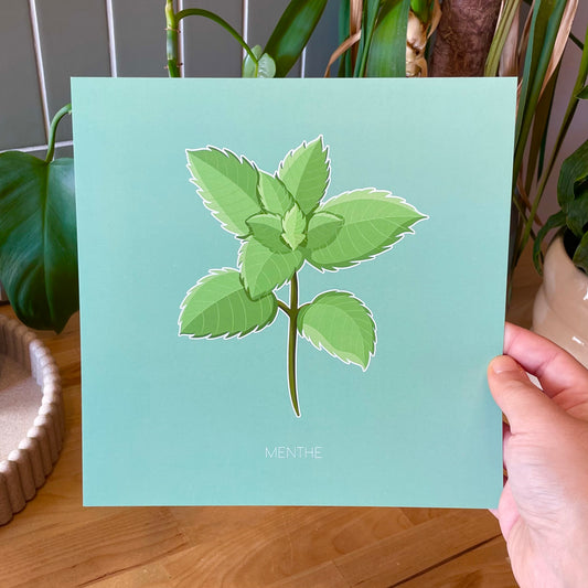 Haleine Fraîche - Menthe