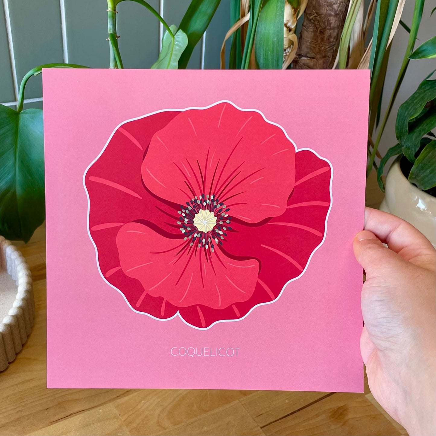 Rouge des champs - Coquelicot