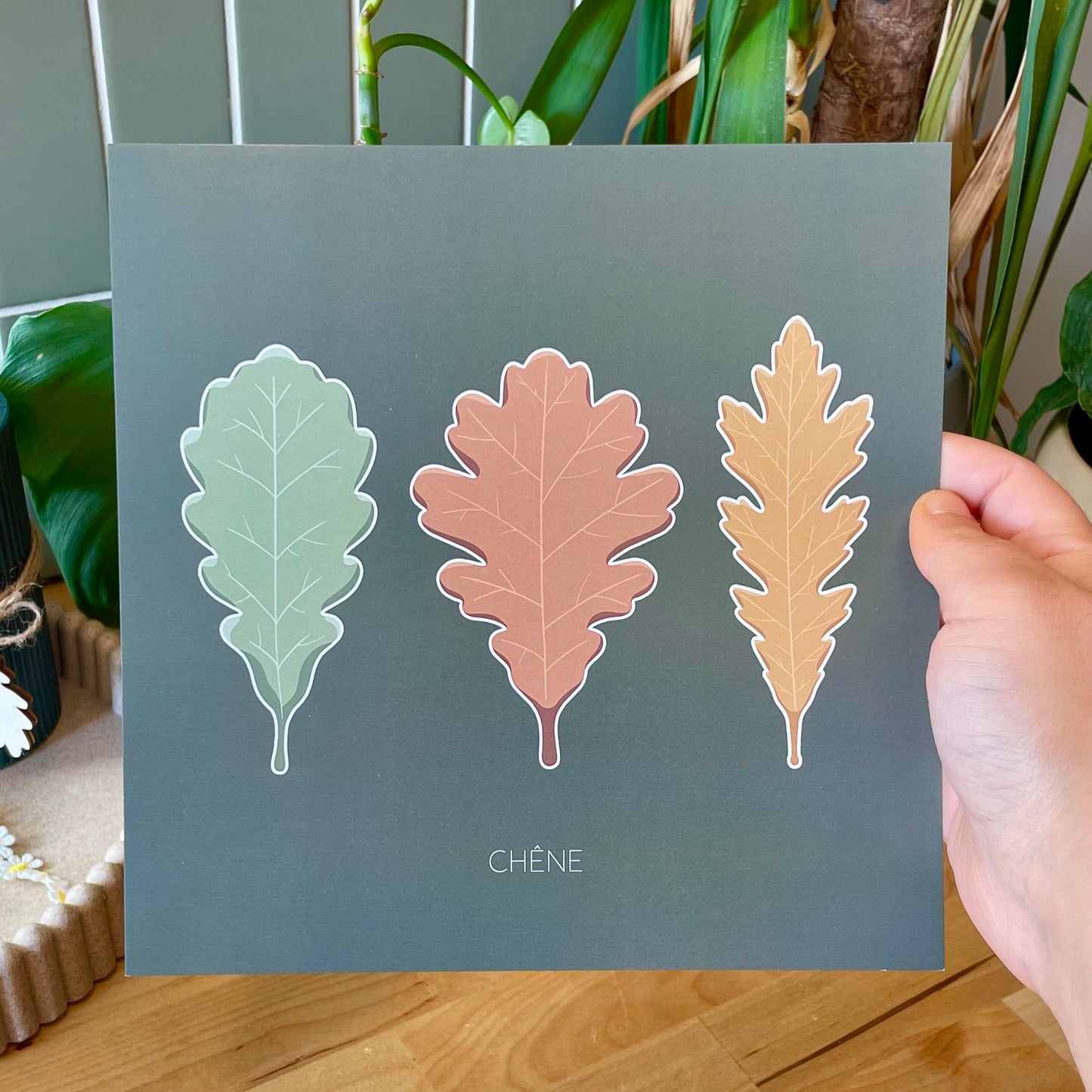 Roi de la Forêt - Chêne