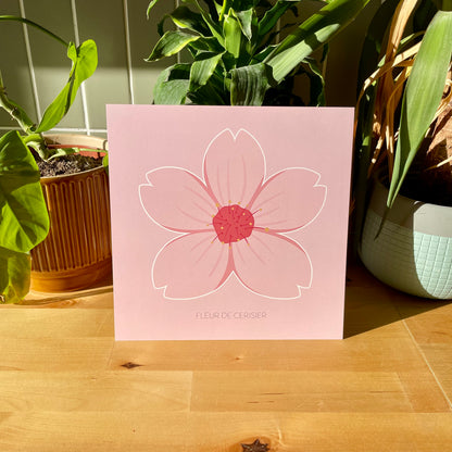 Éclosion de printemps - Fleur de cerisier