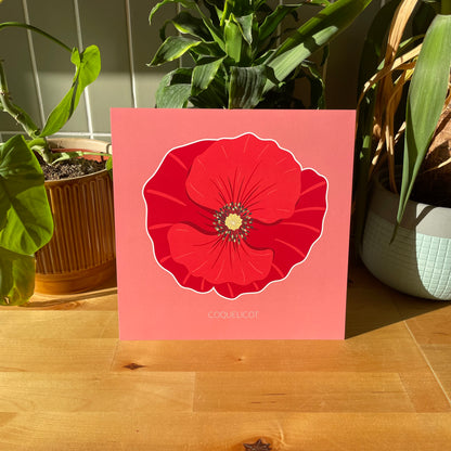 Rouge des champs - Coquelicot
