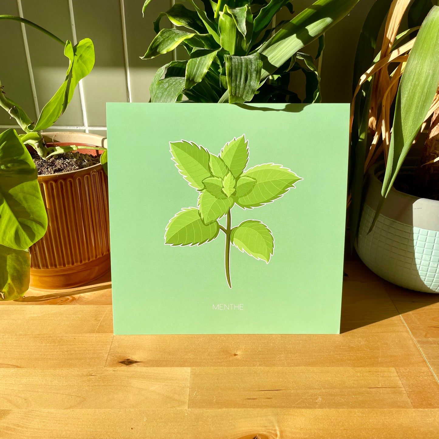 Haleine Fraîche - Menthe