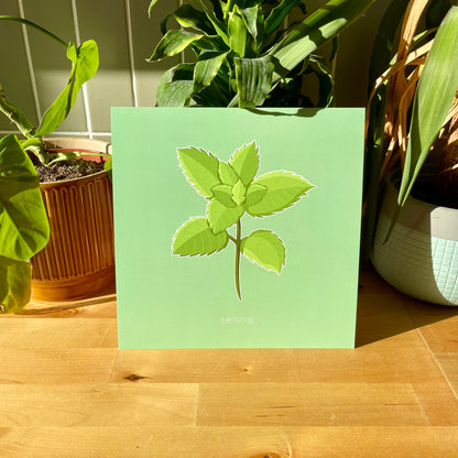 Haleine Fraîche - Menthe