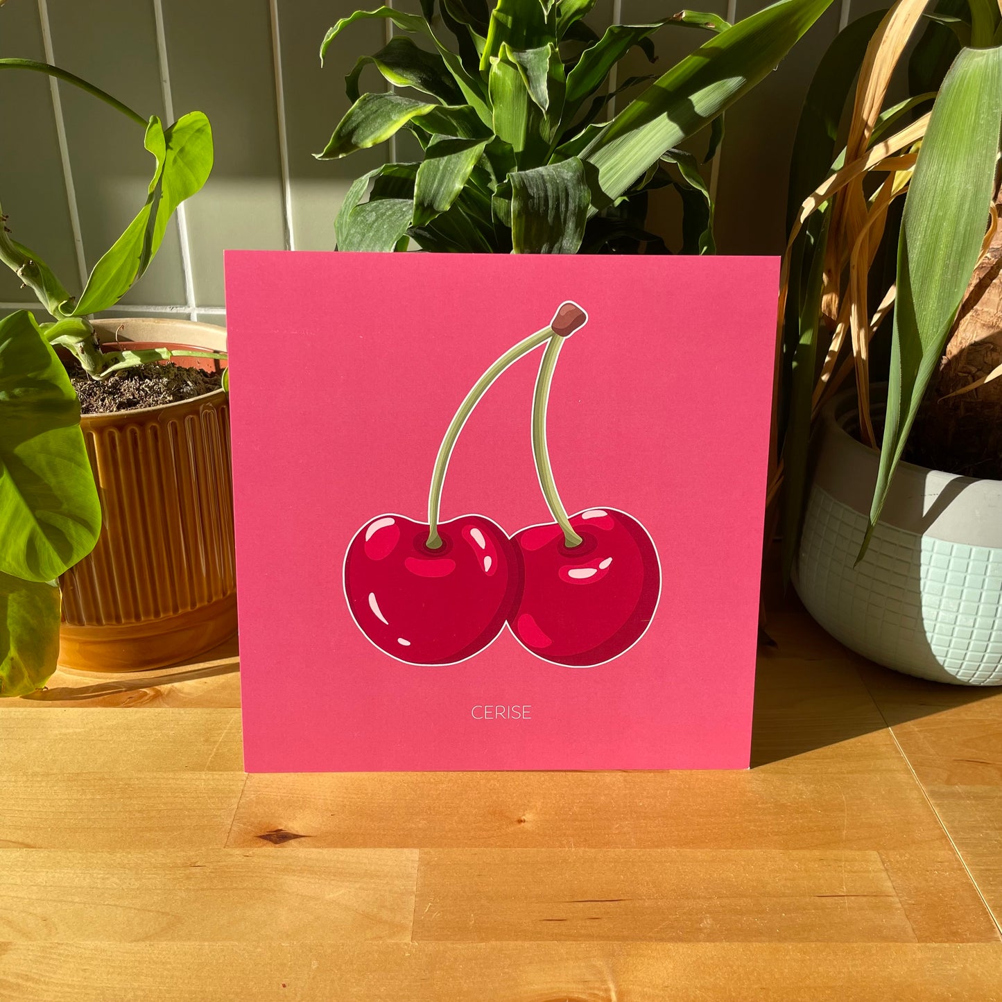 Petites Rouges - Cerise