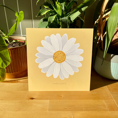 Un peu... Beaucoup... Passionnément - Marguerite