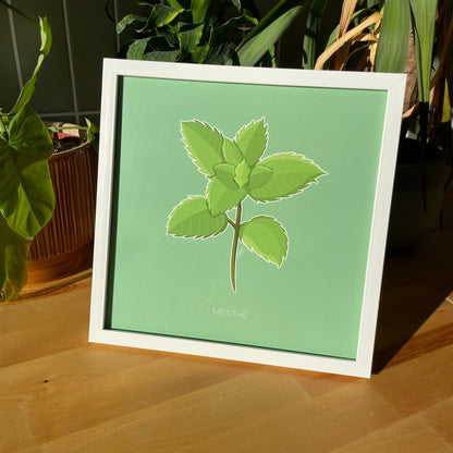 Haleine Fraîche - Menthe