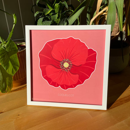 Rouge des champs - Coquelicot