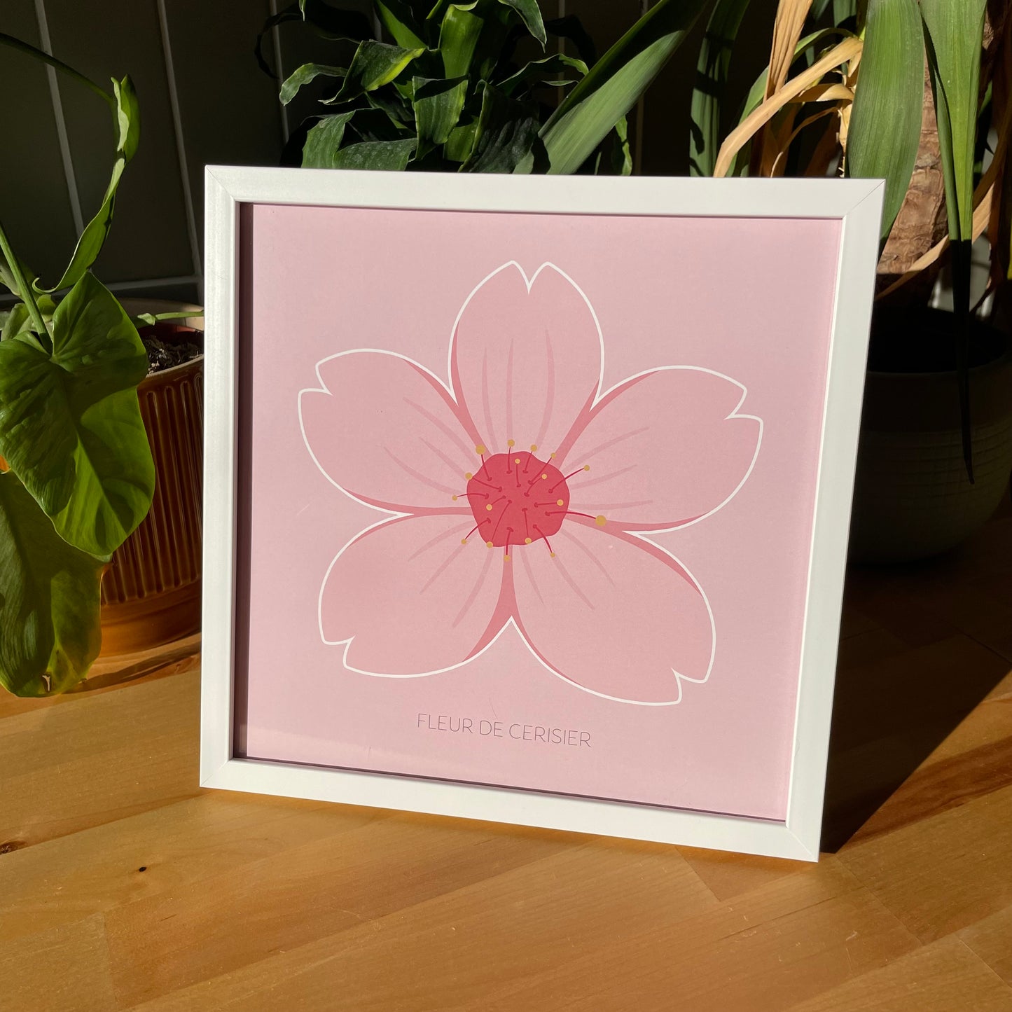 Éclosion de printemps - Fleur de cerisier