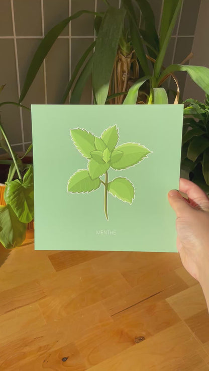 Haleine Fraîche - Menthe