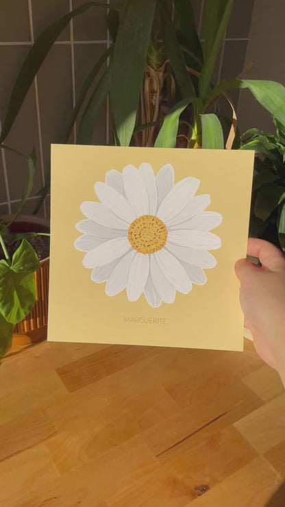 Un peu... Beaucoup... Passionnément - Marguerite