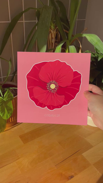 Rouge des champs - Coquelicot