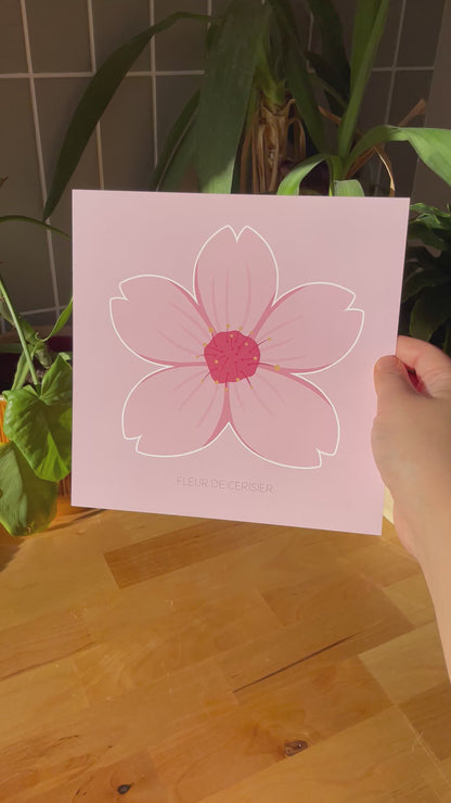 Éclosion de printemps - Fleur de cerisier